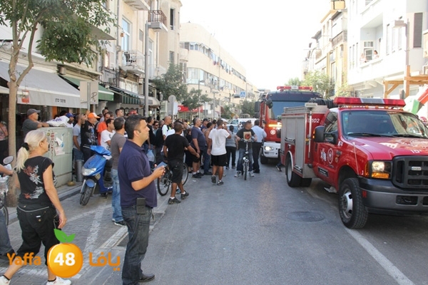 mabna inu910y (9).JPG